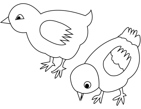 Two Pigeons Coloring Page